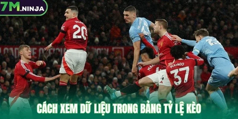 Cách xem dữ liệu trong bảng tỷ lệ kèo