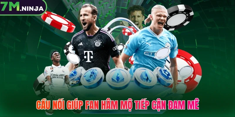 Cầu nối giúp fan hâm mộ tiếp cận đam mê