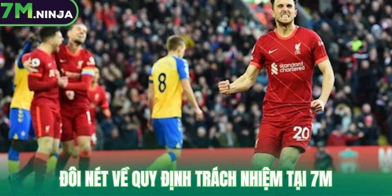 Đôi nét về quy định trách nhiệm tại 7M