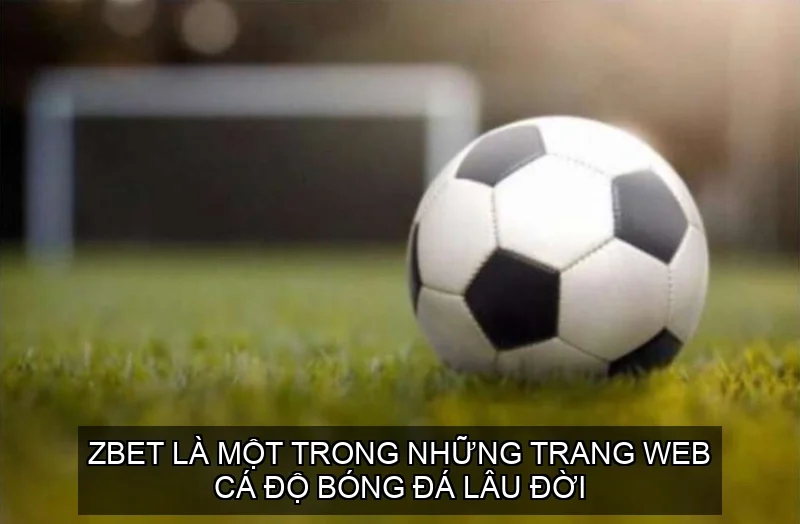 Zbet là một trong những trang web cá độ bóng đá lâu đời