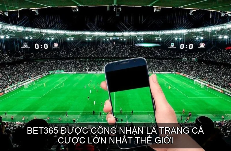 Bet365 được công nhận là trang cá cược lớn nhất thế giới