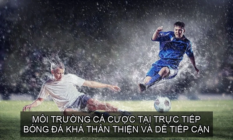 Môi trường cá cược tại Trực Tiếp Bóng Đá khá thân thiện và dễ tiếp cận
